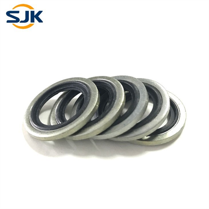 bonded sealing washers